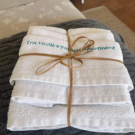 Tra Vicoli E Palazzi * Tropea