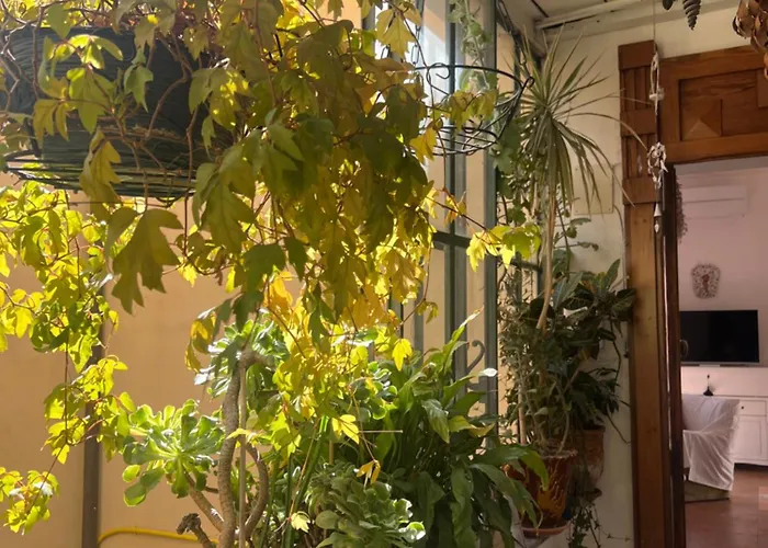 公寓 Tra Vicoli E Palazzi *