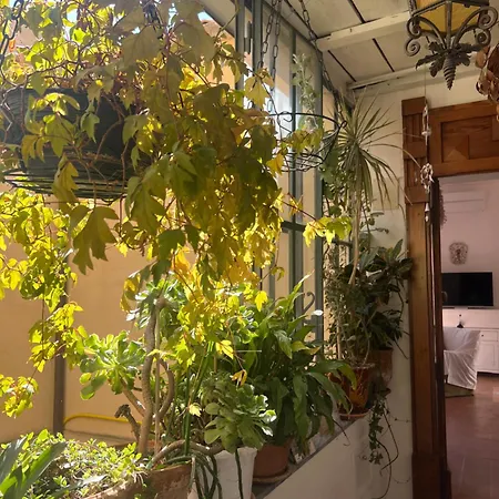 Διαμέρισμα Tra Vicoli E Palazzi *